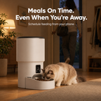 Tail & Co. Wi-Fi Automatic Pet Feeder - lifestyle shot